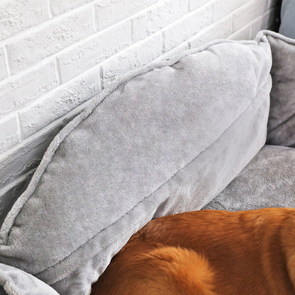Pawlogy Dog Bed