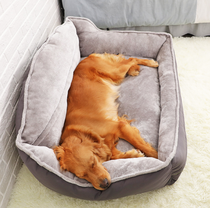 Pawlogy Dog Bed