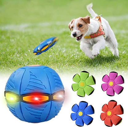 Pawlogy Dog Frisbee