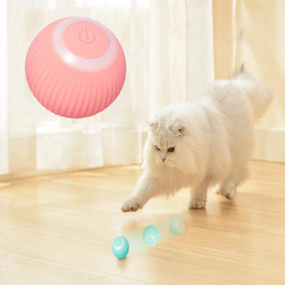 Pawlogy Interactive Ball